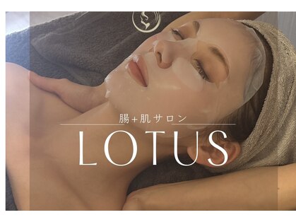 ロータス(LOTUS)の写真