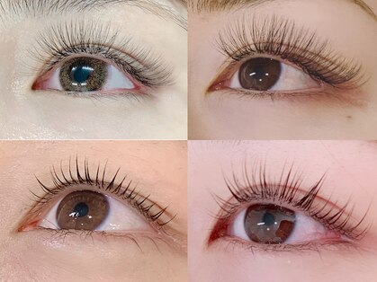 メイア(Meia)の写真