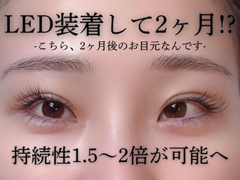 フラットラッシュ | ledマツエク専門店Eden（エデン）四日市店の写真/LEDエクステに特化したサロンで持続性と仕上がりに自信あり！垢抜け感と持ちの良さ