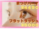 クリスト(christ)の写真