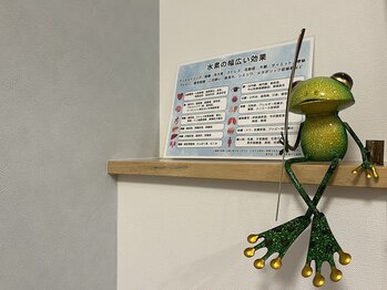 すいそ屋 フロッグス(FROGS)/様々な効果が期待されています♪