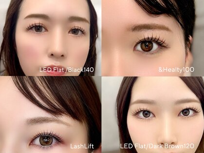 ニコ(Niko)の写真