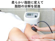 ジュリアン(Julien)/脂肪を柔らかくして分解を促進