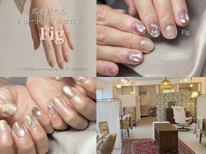 フィグ(Fig)の写真
