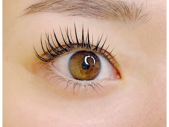 ヴィフ(Vif)/パリジェンヌラッシュリフト