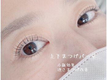 リリー バレンタイン(Lily Valentine)/大通/まつげパーマ/上下パーマ