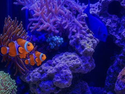 ヘッドアロマの写真