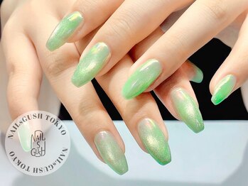 ネイルズガッシュ 川崎店(NAILsGUSH)/韓国/ワンホン/マグネットネイル
