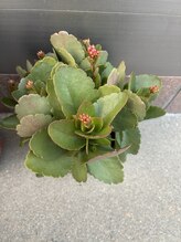 鍼灸接骨慈康院/新たな仲間入り