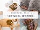 エレ(ele)の写真