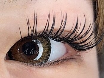 アレーズ(A laise)/マツエクつけ放題