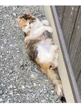 湯処風月&nbsp;にゃあ ちゃん