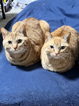 オフィスピースリー/