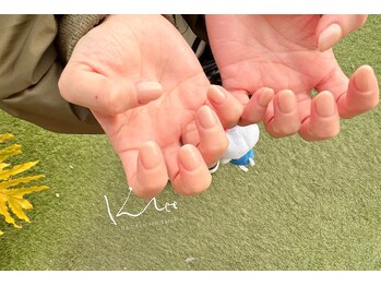 クレー(Klee)/美ワンカラー