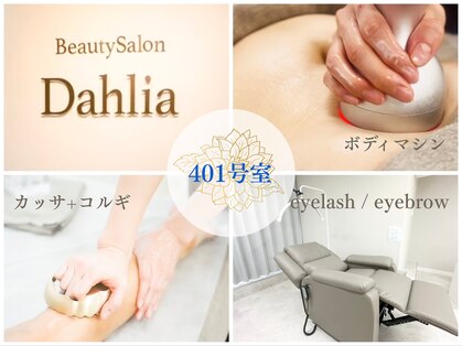 ダリア(Dahlia)の写真