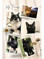 ムスイ(夢睡 musui) わが家の猫ちゃんたちです♪