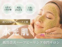 エミルカ 日の出平井店(EMILUCA)