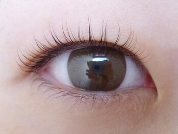 テイラー(Taylor)/2.まつげカール　SONE