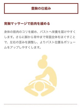 バストサロン メルベイユ(Merveile)/光バストの仕組み 1