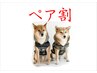 【電話予約限定】ペア割　もみほぐし80分（2名様で）　￥21,120⇒￥15,000