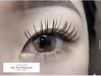 プリンセス(Princess)/フラットラッシュ / 150本