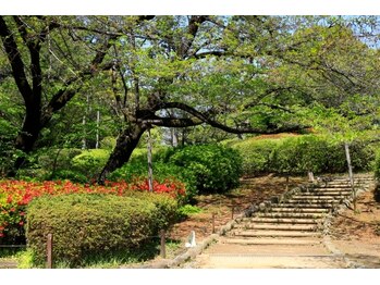 中野整体マスターズ/nakano Massage chiropractic