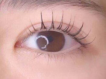 サンキュー(39)の写真/《好印象な目元はナチュラル上品がbest★》まつげパーマ・ラッシュリフトが通いやすい￥3900！理想が叶う◎