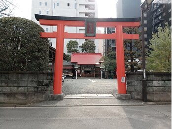 アンスリウム グラ(A.gula)/マンションお隣に神社があります