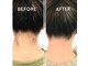 ララ(RARA)の写真