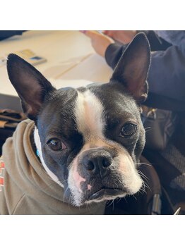 ネイルアンドアイラッシュ グランジュテ(GRANDJETE)/★犬がいることがございます★