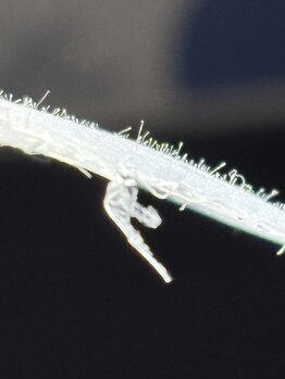 ビューティーサロンエイト(Beauty Salon8)/WAXでつるんとなめらかなお肌