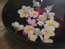 スガーレ(Segare)/