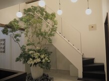 エマクラン(emmaclan)