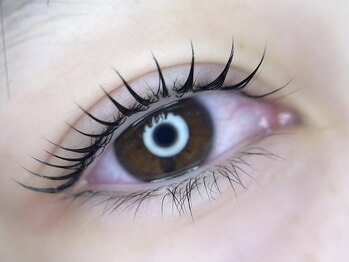 ケイラッシュ(K-LASH)/ラッシュリフトカールデザイン