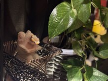 ホワイトリリーの雰囲気(考える脳を休める深眠空間)