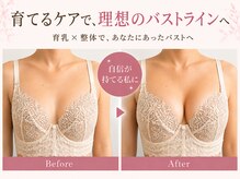 ラウリノサロン(Laurino salon)/戻りにくいバストアップ整体