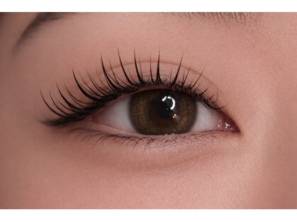 ベル(Belle)の写真