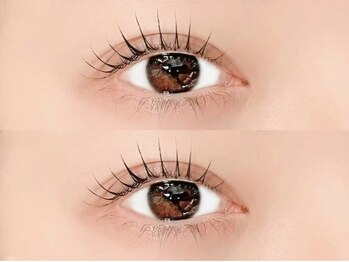 シーズントーキョー(SEASON Tokyo)の写真/当店人気No1メニュー☆高持続×高技術!最新技術でなりたい目元を実現【プランプラッシュリフト新規¥7,500】