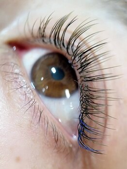 ラフォクシー(La.Foxy)/カラーエクステ