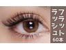 【付け足し】フラットラッシュ60本4,400円