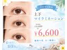 【平日限定】上下マイラミネーション￥8800→￥6600