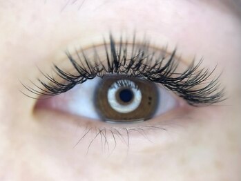 ケイラッシュ(K-LASH)/マツエク180本