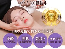 ミーアキャット 福岡天神(MEERKAT)