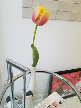 シェリー(Cherie)/