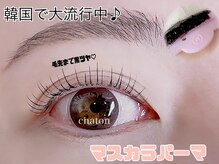 シャトン(chaton)