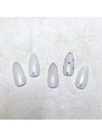 6月定額メニューN