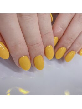 ワンカラー5300yen