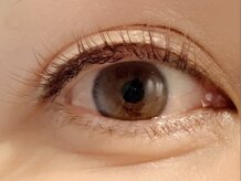 カラン 焼津店(CALIN)/フラットラッシュブラウン120本