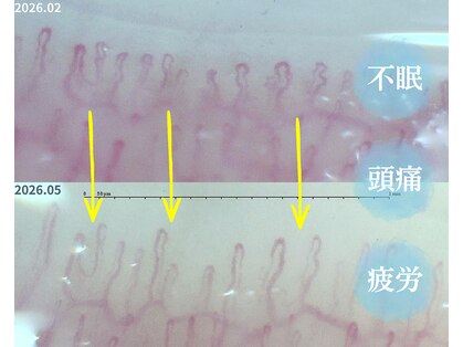ちゆたいむ 月島店の写真