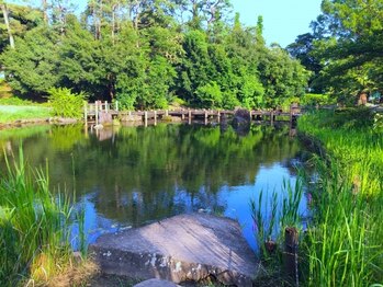 中野整体マスターズ/nakano Massage chiropractic